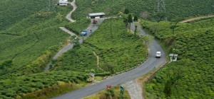 Mirik