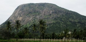 Nandi Hills Tour